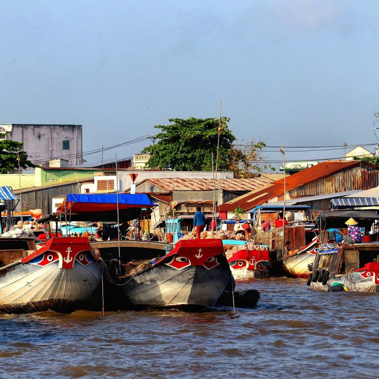 Mekong Delta Day Trip: Easy Booking Through La Siesta Premium’s Concierge